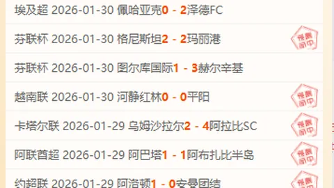 篮球赛事：掘金与火箭深度解析，专家策略推荐